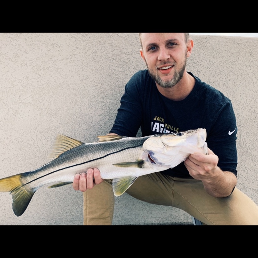 Meet your Posher, Joey